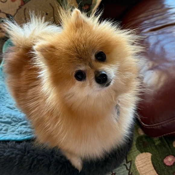 Like to be notified when I go live - Picture 11 of 17